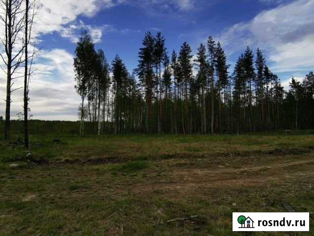 Участок СНТ, ДНП 9 сот. на продажу в Петрозаводске Петрозаводск - изображение 1