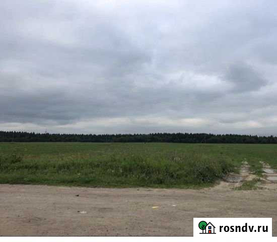 Участок СНТ, ДНП 5200 сот. на продажу в Русско-Высоцком Русско-Высоцкое - изображение 1