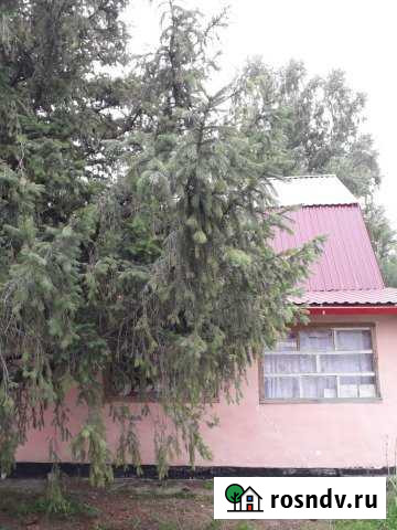 Дача 50 м² на участке 8 сот. на продажу в Бийске Бийск - изображение 1