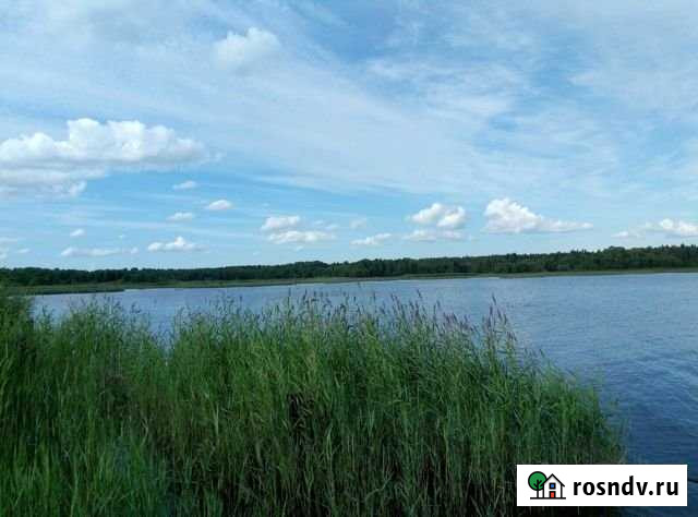 Участок СНТ, ДНП 35 сот. на продажу в Высоцке Высоцк - изображение 1