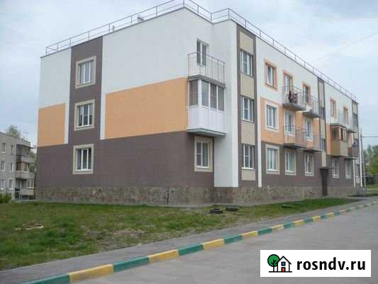 1-комнатная квартира, 32 м², 1/3 эт. на продажу в Буревестнике Буревестник - изображение 1