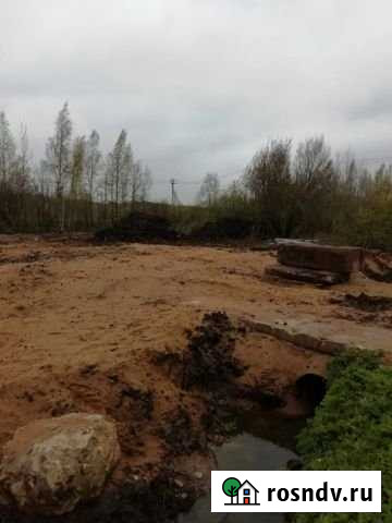 Участок СНТ, ДНП 14 сот. на продажу в Сосновом Бору Сосновый Бор - изображение 1