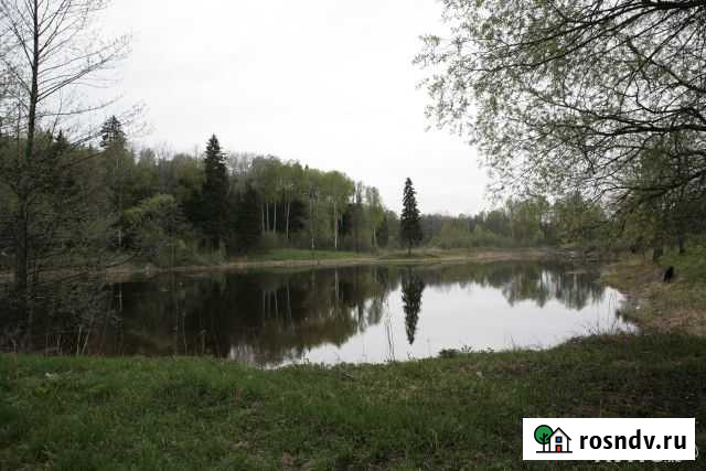 Участок СНТ, ДНП 741 сот. на продажу в Москве Москва - изображение 1