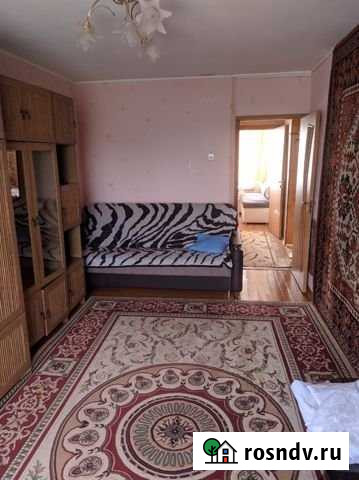 2-комнатная квартира, 48 м², 4/5 эт. в аренду на длительный срок в Приморске Ленинградской области Приморск - изображение 1