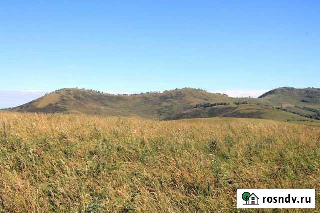 Участок СНТ, ДНП 2250 сот. на продажу в Чарышском Чарышское - изображение 1