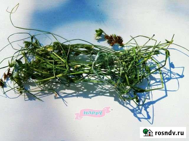 Участок СНТ, ДНП 15 сот. на продажу в Орлово Орлово - изображение 1