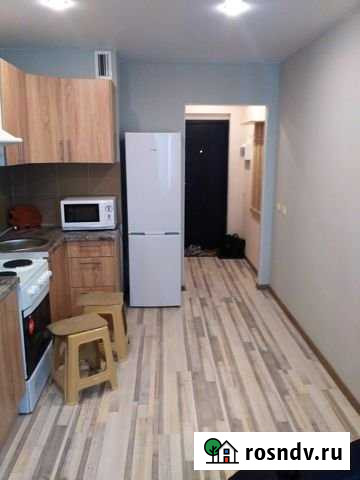 Квартира-студия, 25 м², 9/24 эт. в аренду на длительный срок в Мурино Мурино - изображение 1