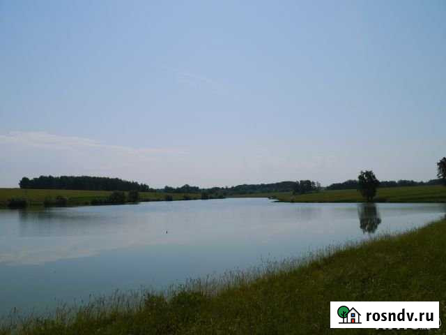 Участок СНТ, ДНП 300 сот. на продажу в Пущино Пущино - изображение 1