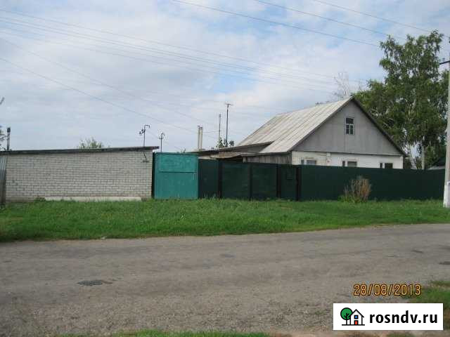 Дом 87 м² на участке 26.5 сот. на продажу в Репьевке Репьевка - изображение 1