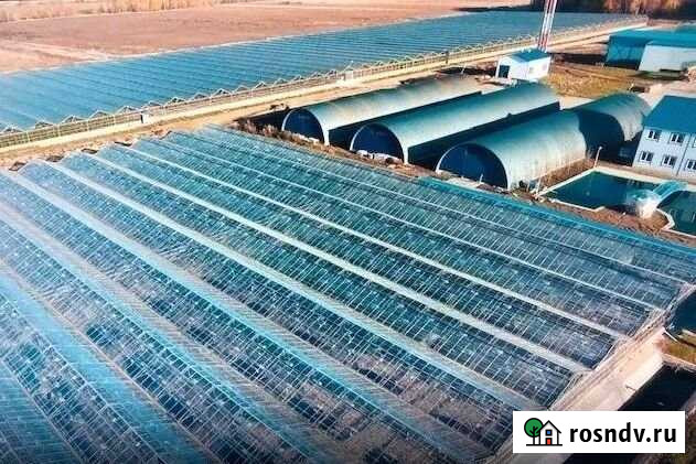 Теплицы зимние продажа, 25500 кв.м. Балабаново - изображение 1