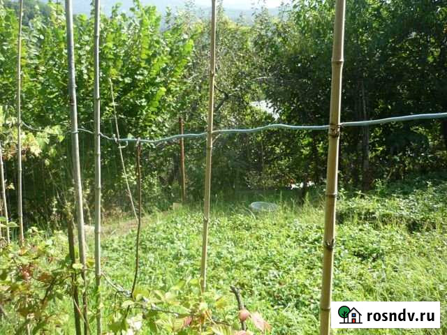 Участок СНТ, ДНП 9 сот. на продажу в Сочи Сочи - изображение 1