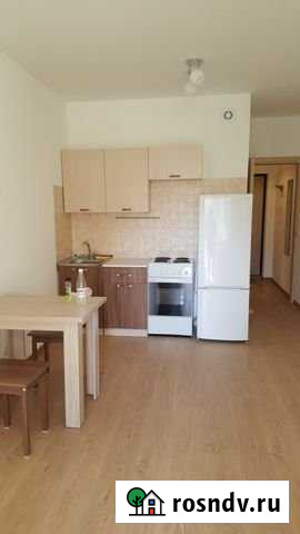 Квартира-студия, 29 м², 3/12 эт. в аренду на длительный срок в Санкт-Петербурге Санкт-Петербург - изображение 1