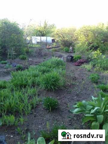 Дача 20 м² на участке 10 сот. на продажу в Свободном Амурской области Свободный - изображение 1