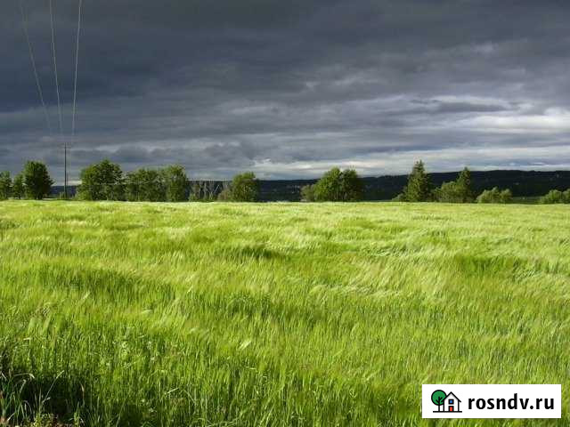 Участок ИЖС 25 сот. на продажу в ЛМС ЛМС - изображение 1