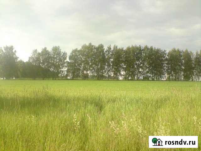 Участок ИЖС 75 сот. на продажу в Дзержинске Дзержинск - изображение 1