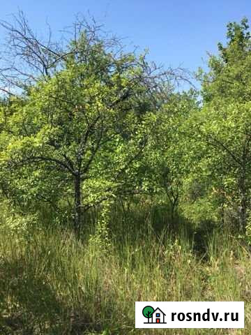 Участок СНТ, ДНП 6 сот. на продажу в Пензе Пенза - изображение 1