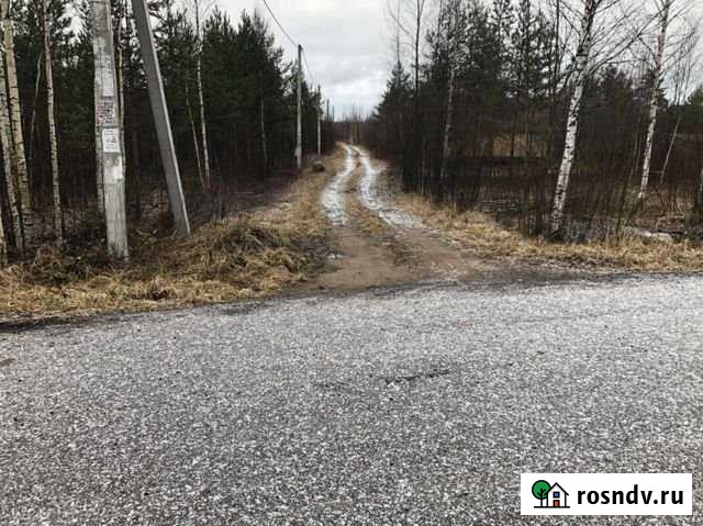 Участок СНТ, ДНП 11 сот. на продажу в Рахье Рахья - изображение 1