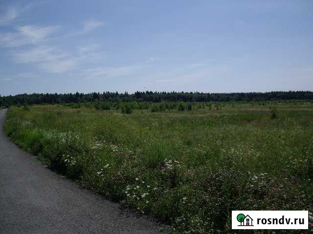 Участок СНТ, ДНП 800 сот. в аренду в Сергиевом Посаде Сергиев Посад - изображение 1