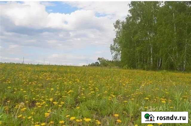 Участок ИЖС 5 сот. на продажу в Емельяново Емельяново - изображение 1