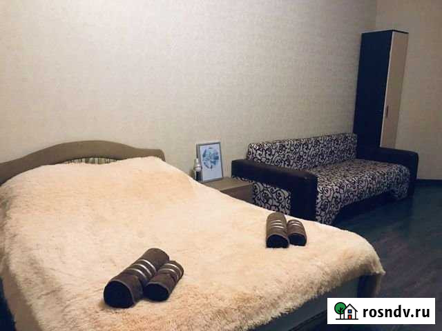 1-комнатная квартира, 47 м², 6/17 эт. в аренду посуточно в Электростали Электросталь - изображение 1