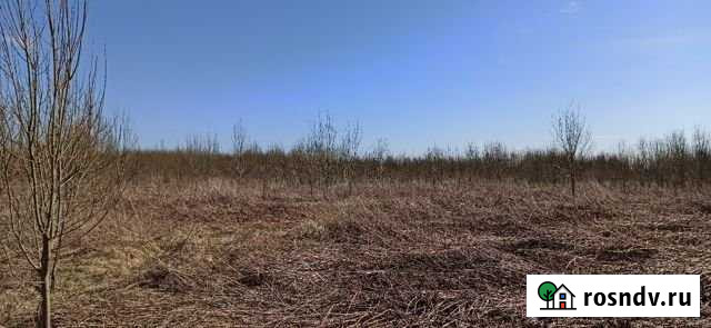 Участок ИЖС 50 сот. на продажу на Лугах Луга - изображение 1