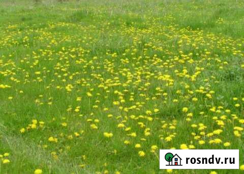 Участок ИЖС 4 сот. на продажу в Дегтярске Дегтярск - изображение 1