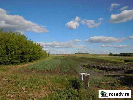 Участок ИЖС 40 сот. на продажу в Кочкурово Кочкурово