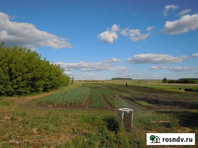 Участок ИЖС 40 сот. на продажу в Кочкурово Кочкурово - изображение 1