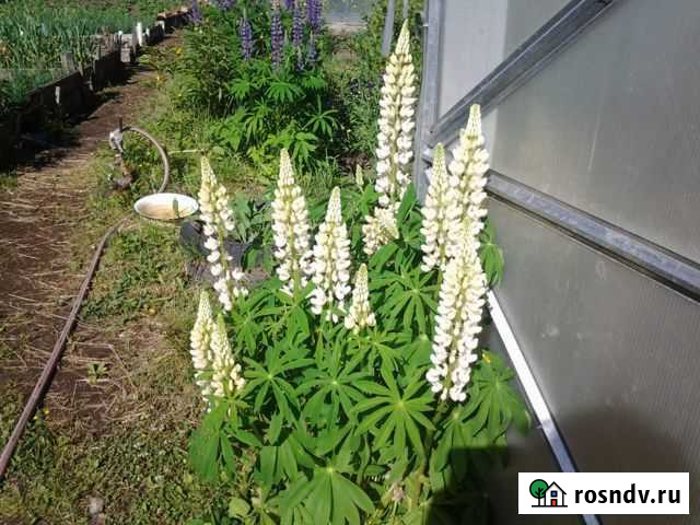 Участок СНТ, ДНП 6 сот. на продажу в Лесном Свердловской области Лесной - изображение 1