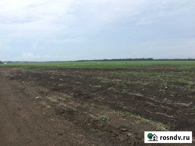 Участок промназначения 250 сот. в аренду в Ждановском Ждановский - изображение 1