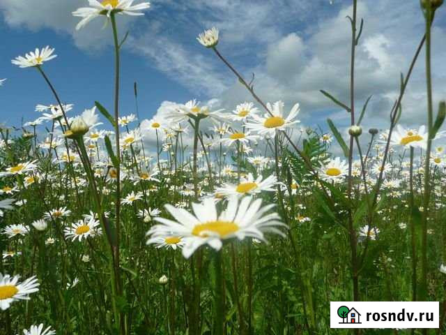 Участок ИЖС 15 сот. на продажу во Владимире Владимир - изображение 1