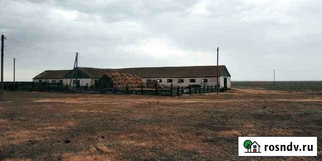 Участок СНТ, ДНП 200 сот. на продажу в Приютном Приютное - изображение 1