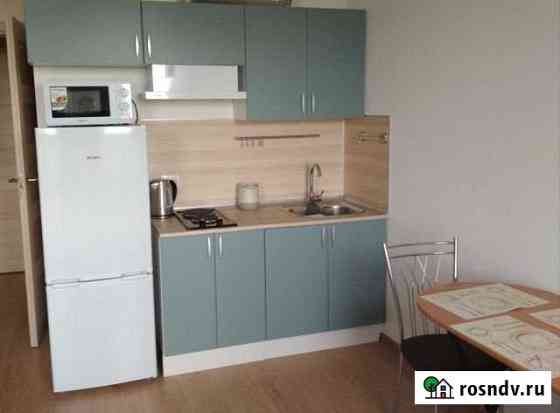 Квартира-студия, 24 м², 7/12 эт. в аренду на длительный срок в Санкт-Петербурге Санкт-Петербург