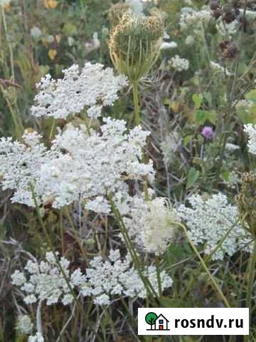 Участок СНТ, ДНП 8 сот. на продажу в Славянске-на-Кубани Славянск-на-Кубани - изображение 1