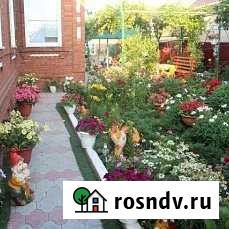 Дом 105 м² на участке 15 сот. в аренду посуточно в Должанской Должанская - изображение 1