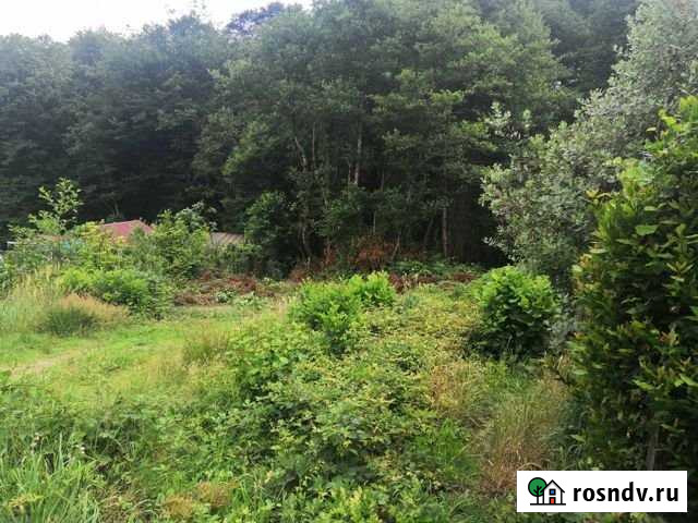 Участок СНТ, ДНП 6 сот. на продажу в Высоком Высокое - изображение 1