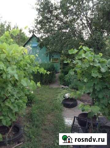 Дача 20 м² на участке 6 сот. на продажу в Стрелице Стрелица - изображение 1