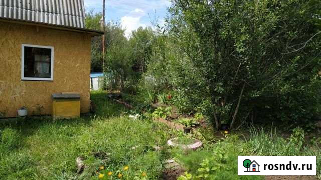 Дача 50 м² на участке 5 сот. на продажу в Алкино-2 Алкино-2 - изображение 1