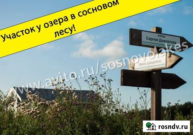 Участок СНТ, ДНП 14 сот. на продажу в Сосново Сосново - изображение 1