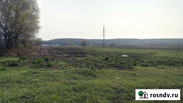 Участок СНТ, ДНП 200 сот. на продажу в Пшехской Пшехская - изображение 1