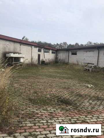 Участок промназначения 52 сот. на продажу в Пионерском Калининградской области Пионерский - изображение 1