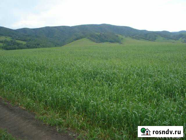 Участок СНТ, ДНП 2500 сот. на продажу в Белокурихе Белокуриха - изображение 1