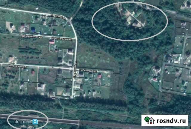 Участок СНТ, ДНП 9 сот. на продажу в Речицах Речицы - изображение 1