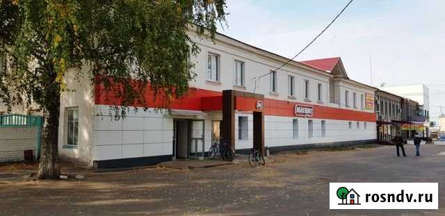 Торговое помещение, 455 кв.м. Ковылкино - изображение 1