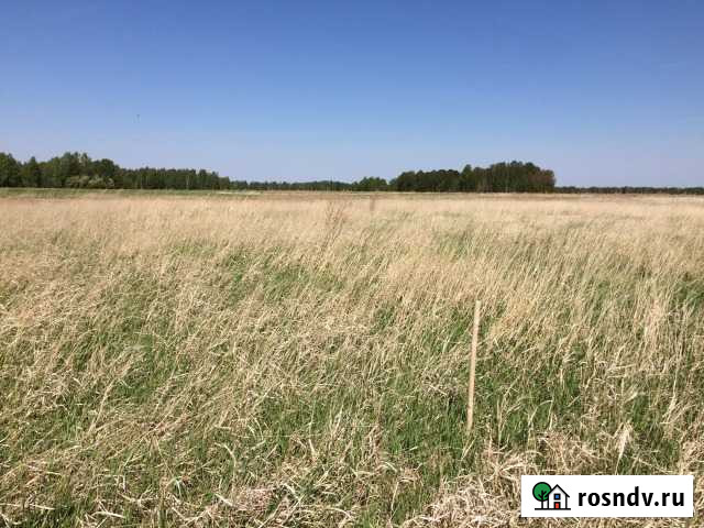 Участок СНТ, ДНП 20 сот. на продажу в Тюмени Тюмень - изображение 1