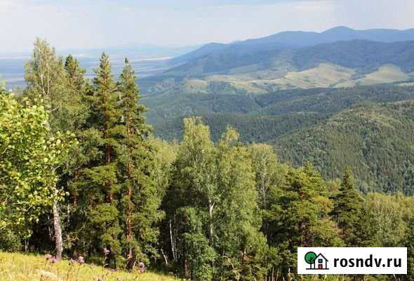 Участок ИЖС 6 сот. на продажу в Сочи Сочи - изображение 1