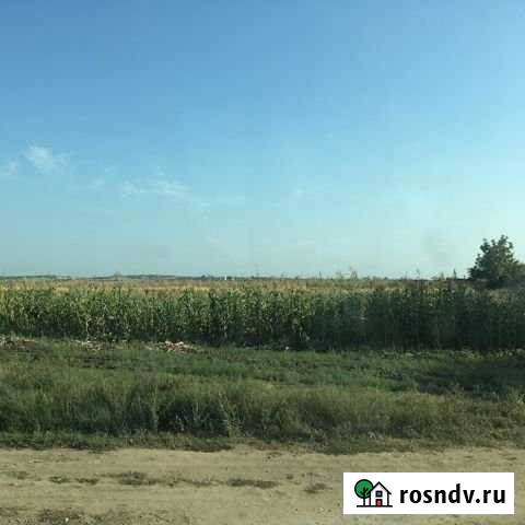 Участок СНТ, ДНП 187 сот. на продажу в Тамани Тамань - изображение 1