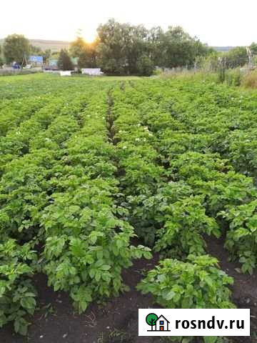 Дом 92 м² на участке 22 сот. на продажу в Альметьевске Альметьевск - изображение 1