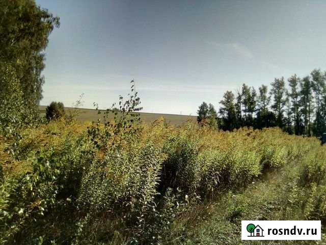 Участок ИЖС 13 сот. на продажу в Орле Орёл - изображение 1