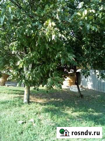 Участок ИЖС 41 сот. на продажу в Успенской Успенская - изображение 1